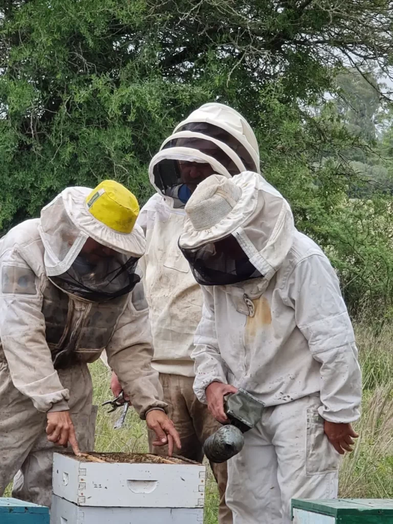 Crean en Villa María una Unidad Demostrativa Apícola para potenciar la actividad