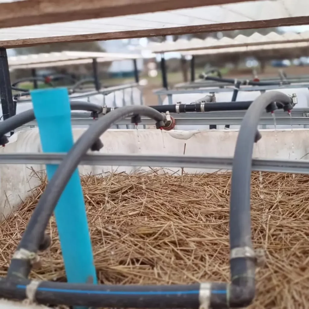 Una empresa que innova en el tratamiento de efluentes agrícolas